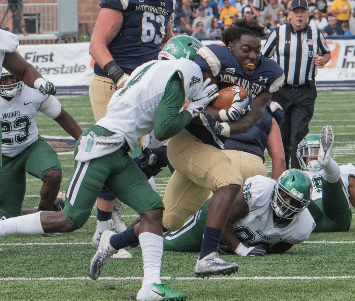 Bobcats Ground Seahawks, Take Flight