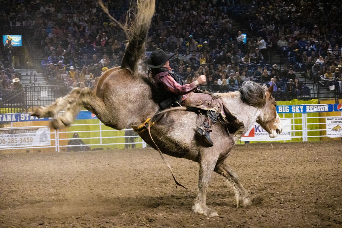 The Rasmussen Bobcat rodeo dynasty