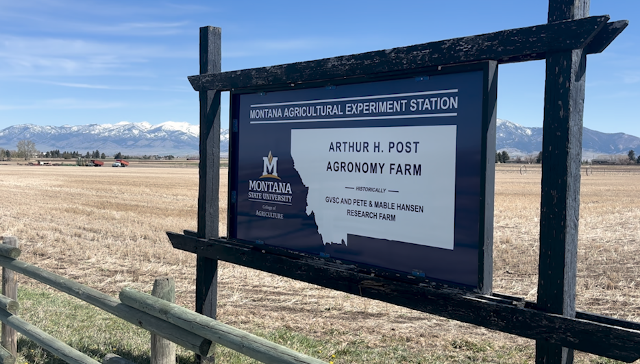 MSU ag researchers share advice for fertilizer use as Iran conflict impacts prices