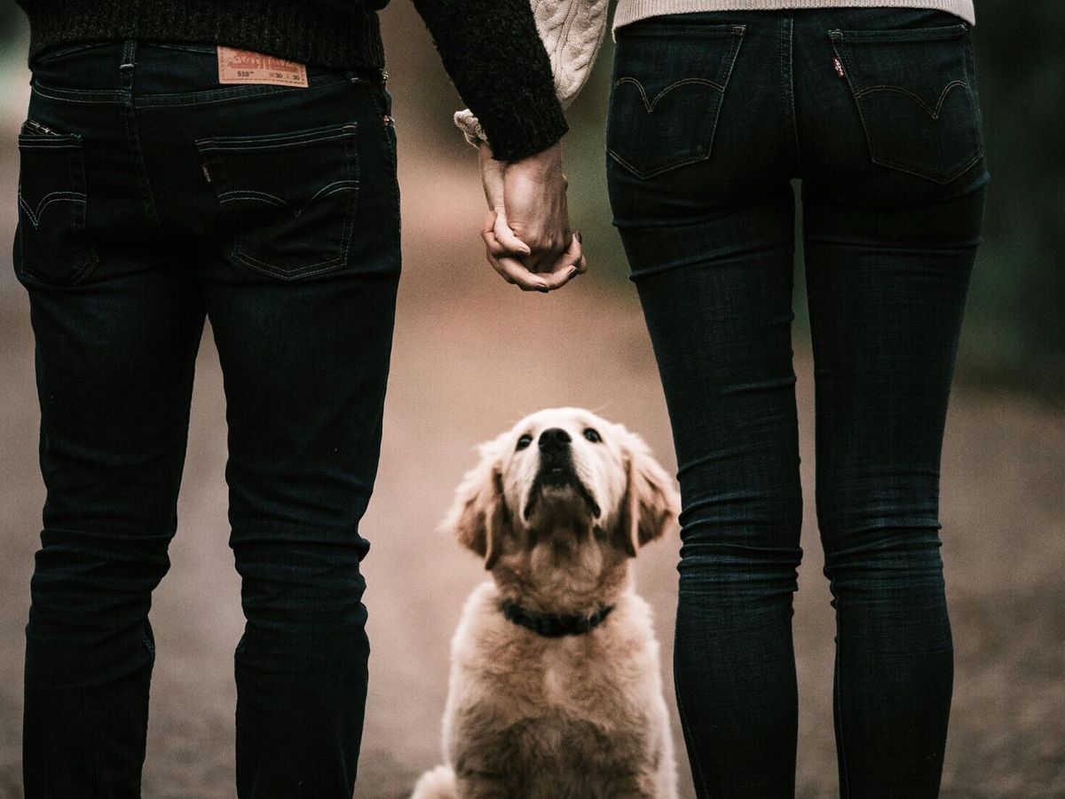 Which animal ‘personality types’ match best?