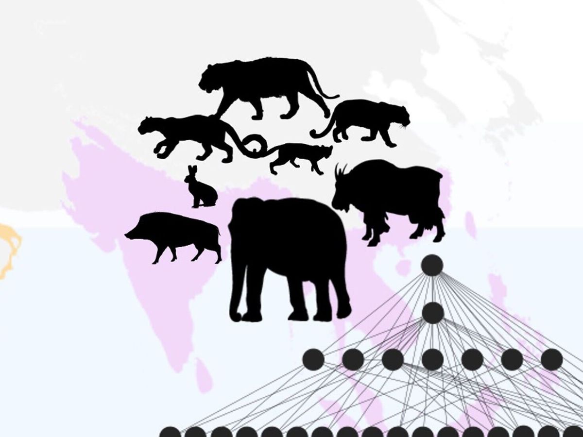 Why the Americas lost more giant mammals than Africa or Asia