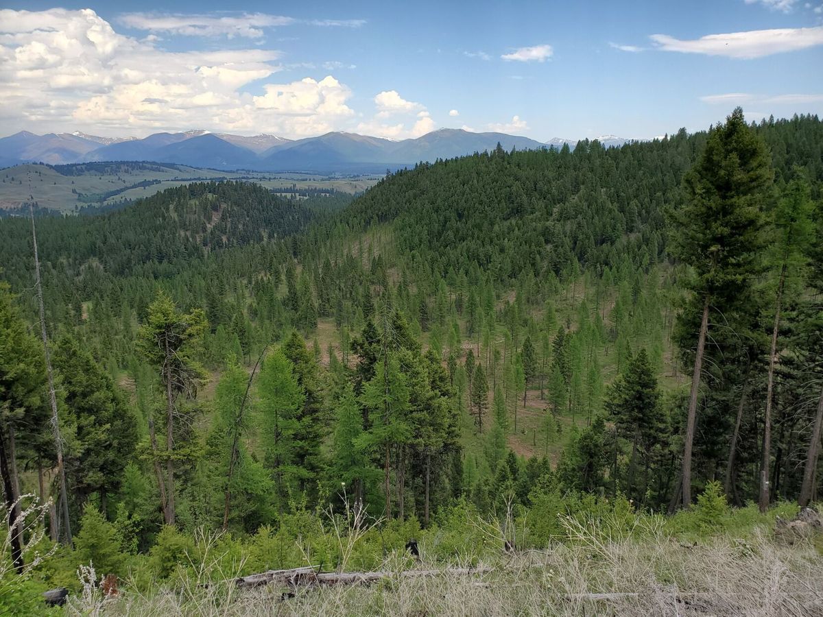 Montana DNRC seeks public input on state trust land recreation rules