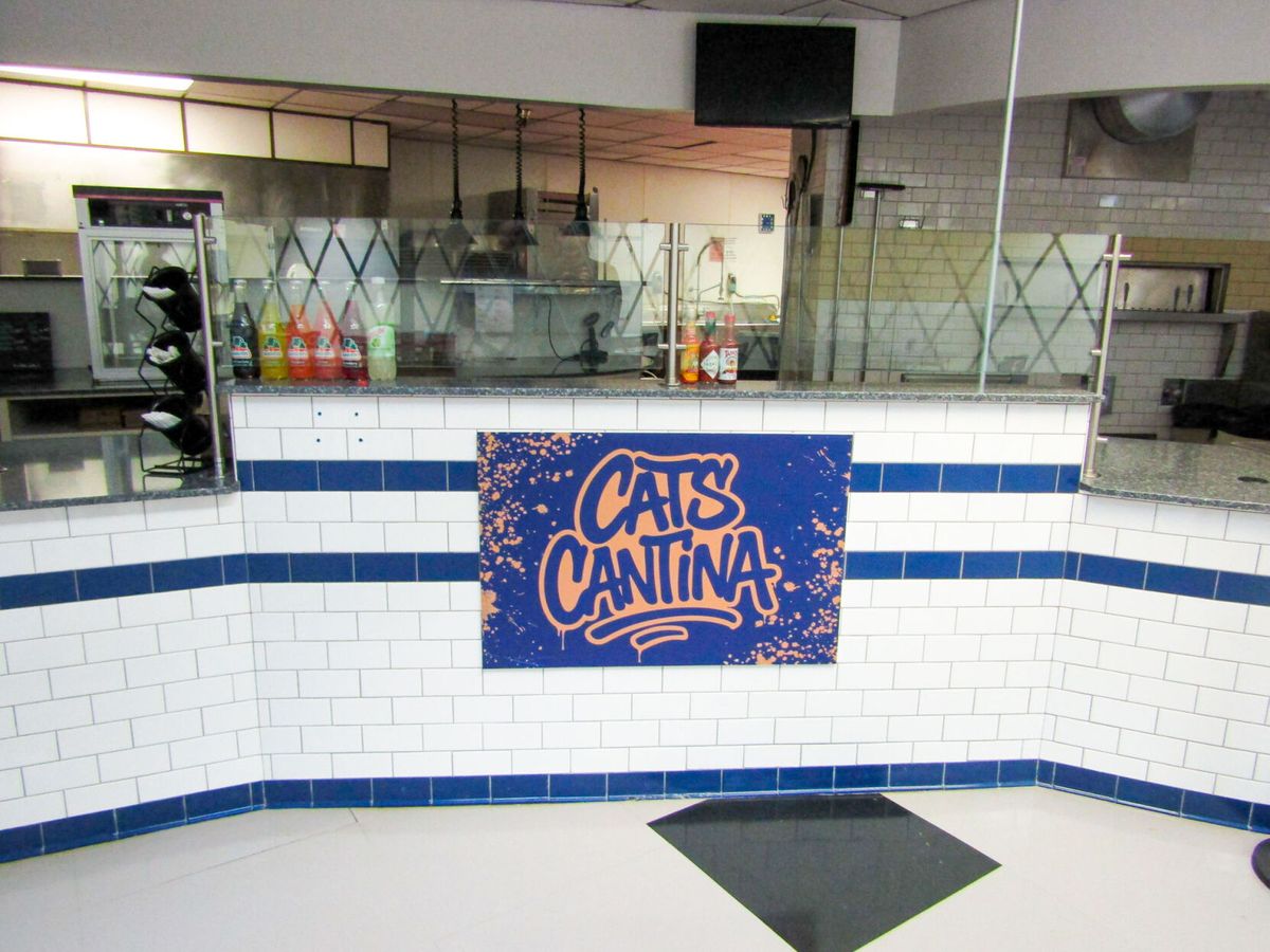 Let’s Taco ‘Bout the Cats Cantina