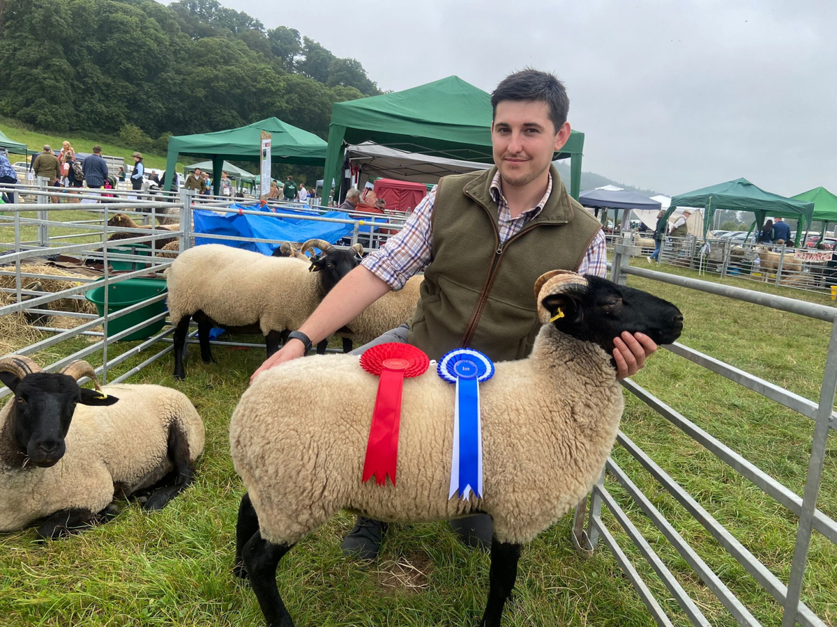 Farmer thought invite for sheep to be in Hugh Jackman film was a scam