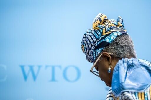 US lays it on the line as WTO mulls future of global trading