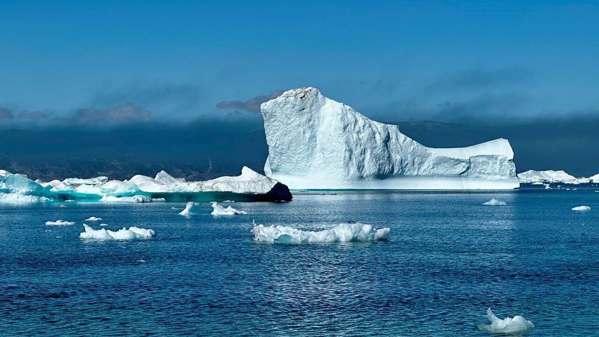 Icebergs putting oceans at risk by carrying debris: study