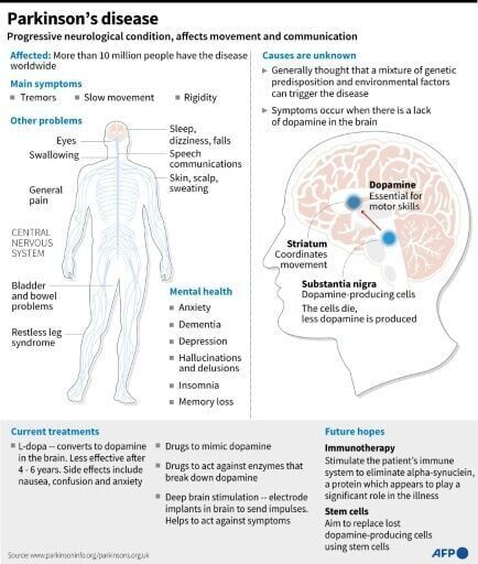 Japan approves stem-cell treatment for Parkinson's in world first