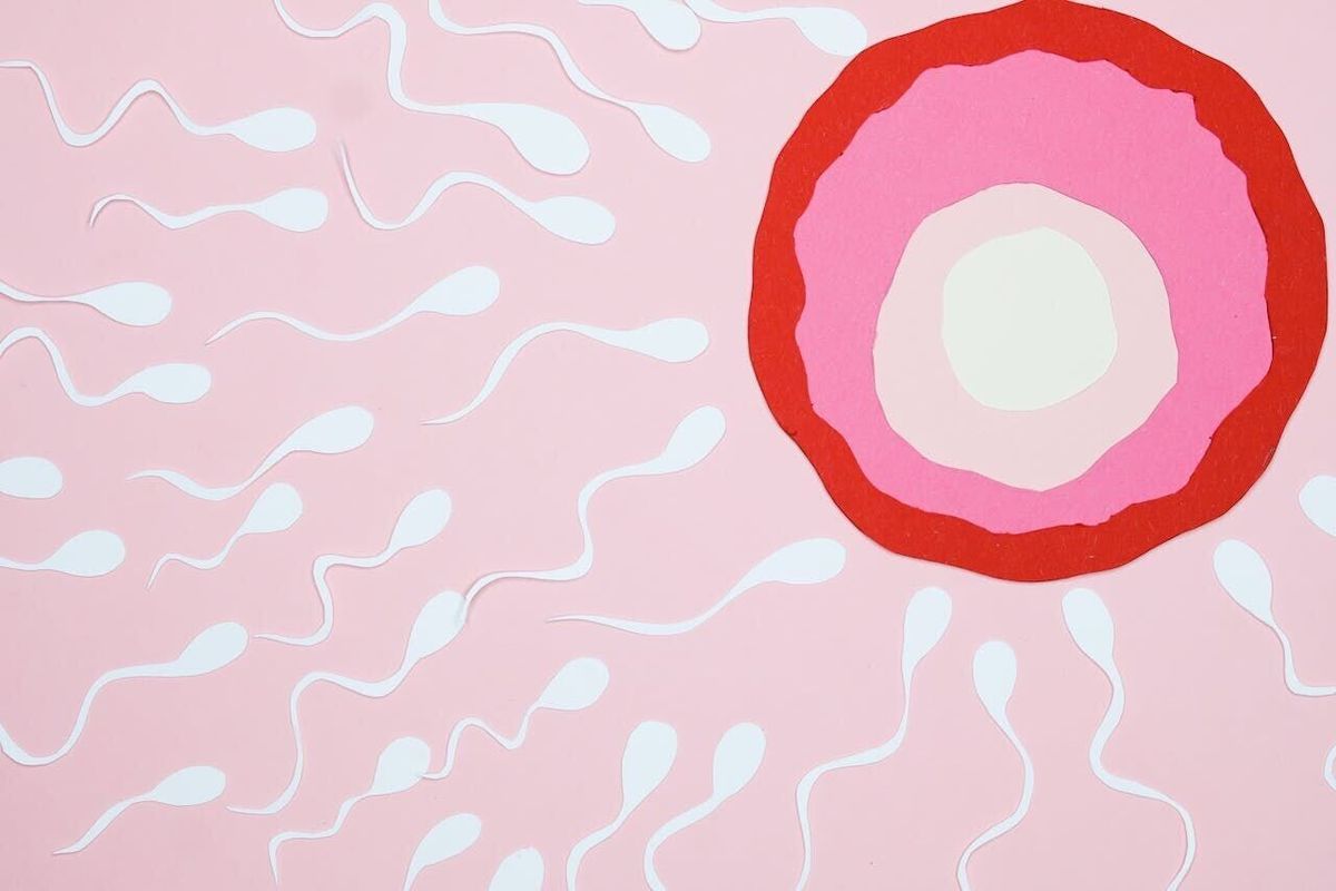 Mom of five discovers husband was secret sperm donor