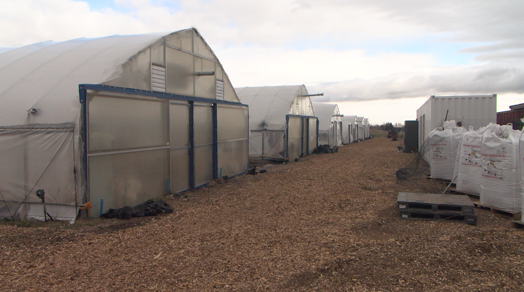 Local Bozeman farm seeks new land for expansion amid shrinking leases