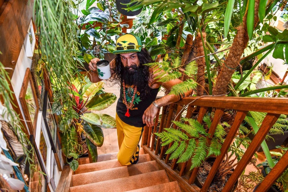 Plant-obsessed dad spends thousands on ‘indoor jungle’