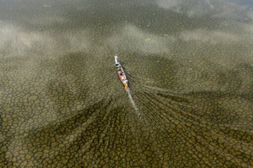 Much-needed rains revive Iraq's fabled Mesopotamian Marshes