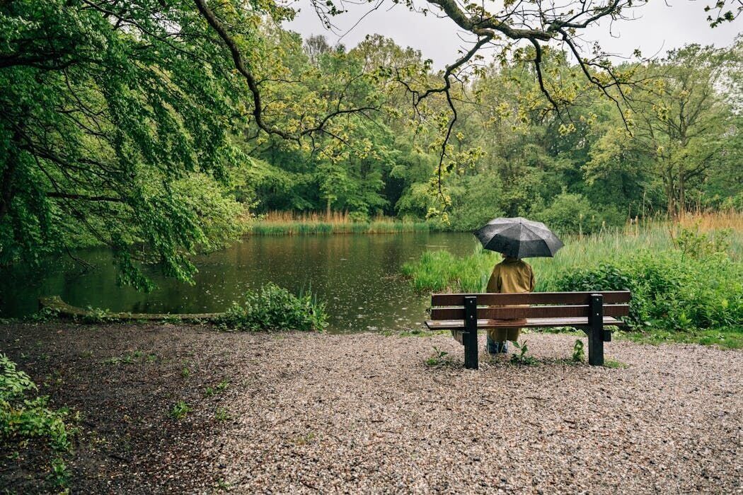 ‘Bouncing back’ is a myth – resilience means integrating hard experiences into your life story, not ignoring them