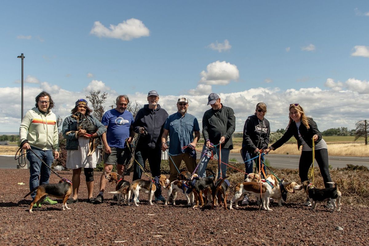 Hyundai Powers Operation Frodo All-Electric Cross-Country Dog Rescue Mission with IONIQ 9