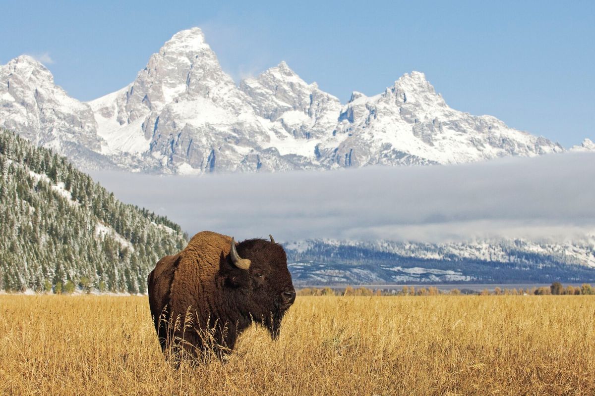 MSU receives ten-million dollar grant in “The Mountains and Plains Thriving Communities Collaborative”