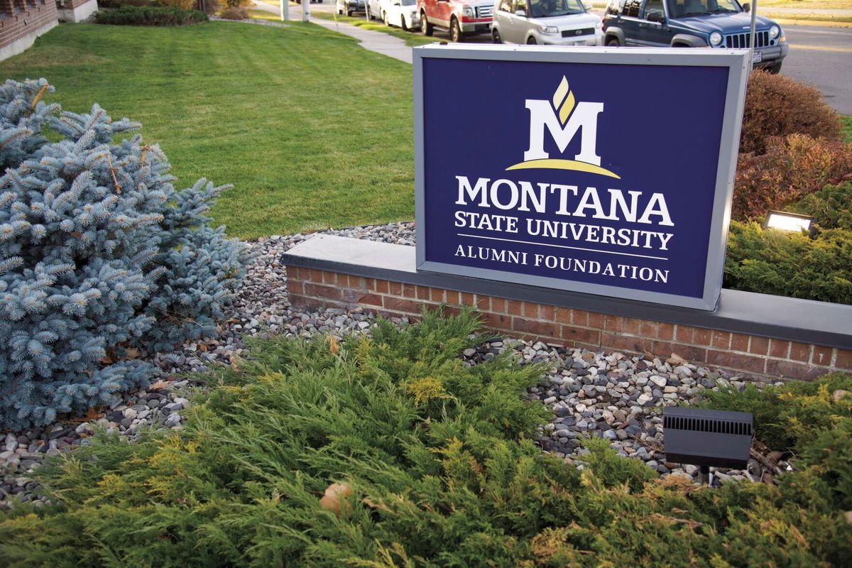Alumni Foundation creates working group to study divestment