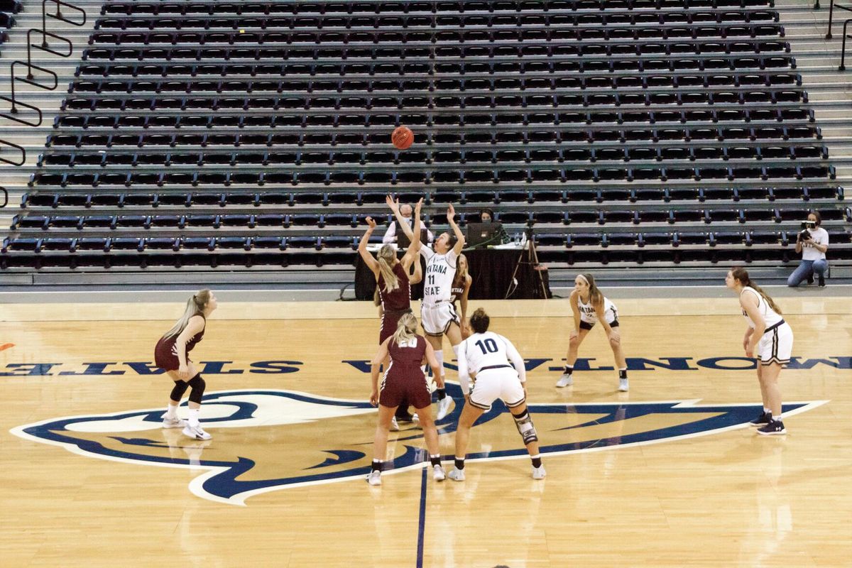 Cats send Griz back into hibernation