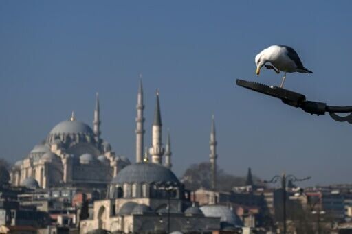 Nearly an own gull! CPR performed on bird at Turkey football match