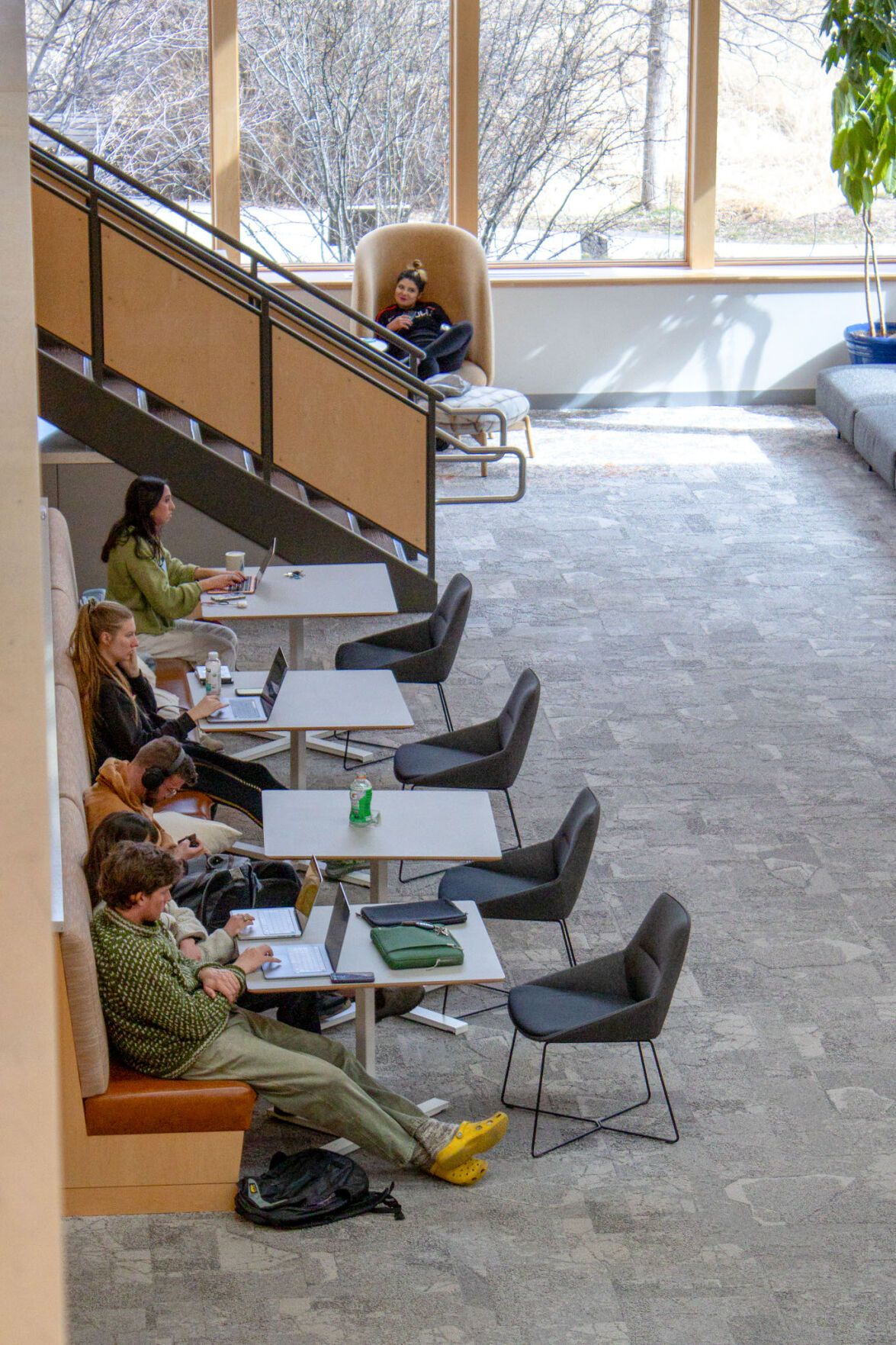 MSU Students Should Use the Public Library More
