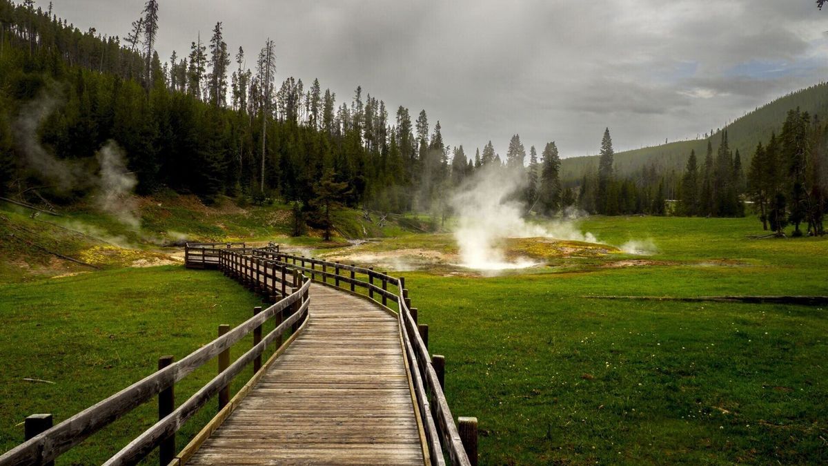 Yellowstone's May 2026 visits hit all-time high for the month