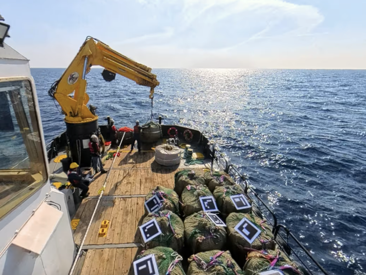 A deep-ocean climate plan wins rare EPA approval, but is sinking plants in the sea the answer?