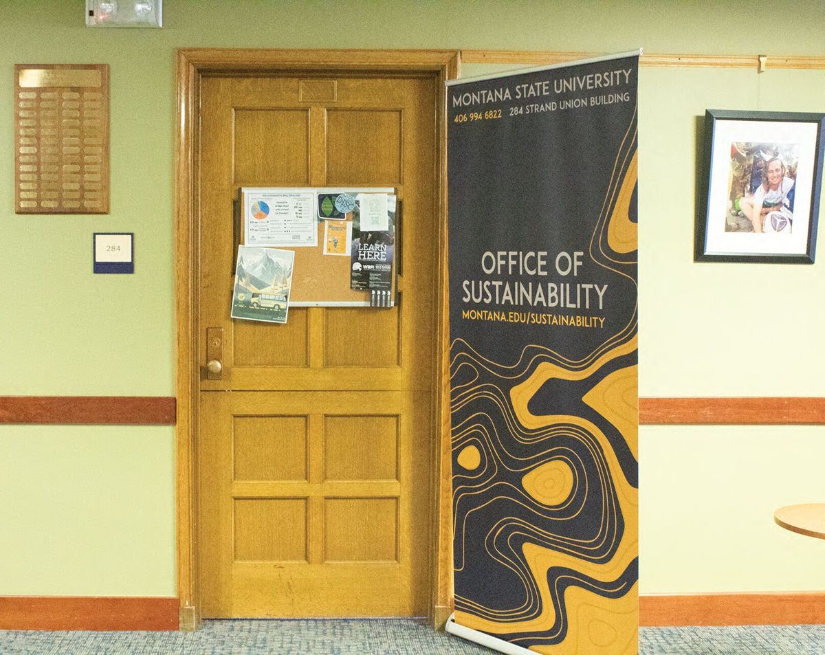 A future of sustainability with the Green Cats