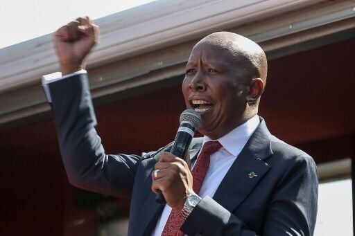South Africa's firebrand Malema handed jail term on gun charges