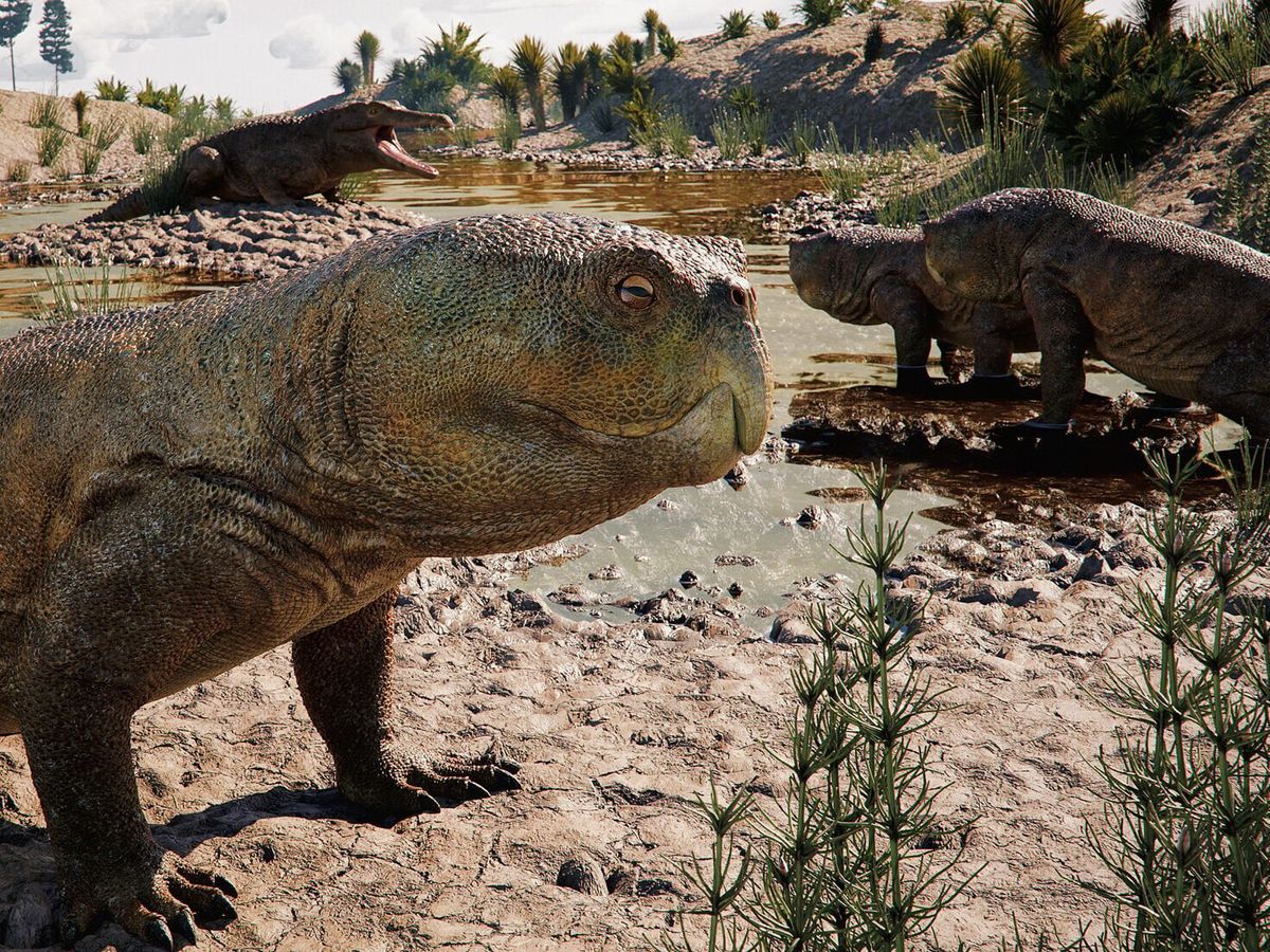 ‘Parrot-beaked’ reptile found in Brazil may have Scottish cousins