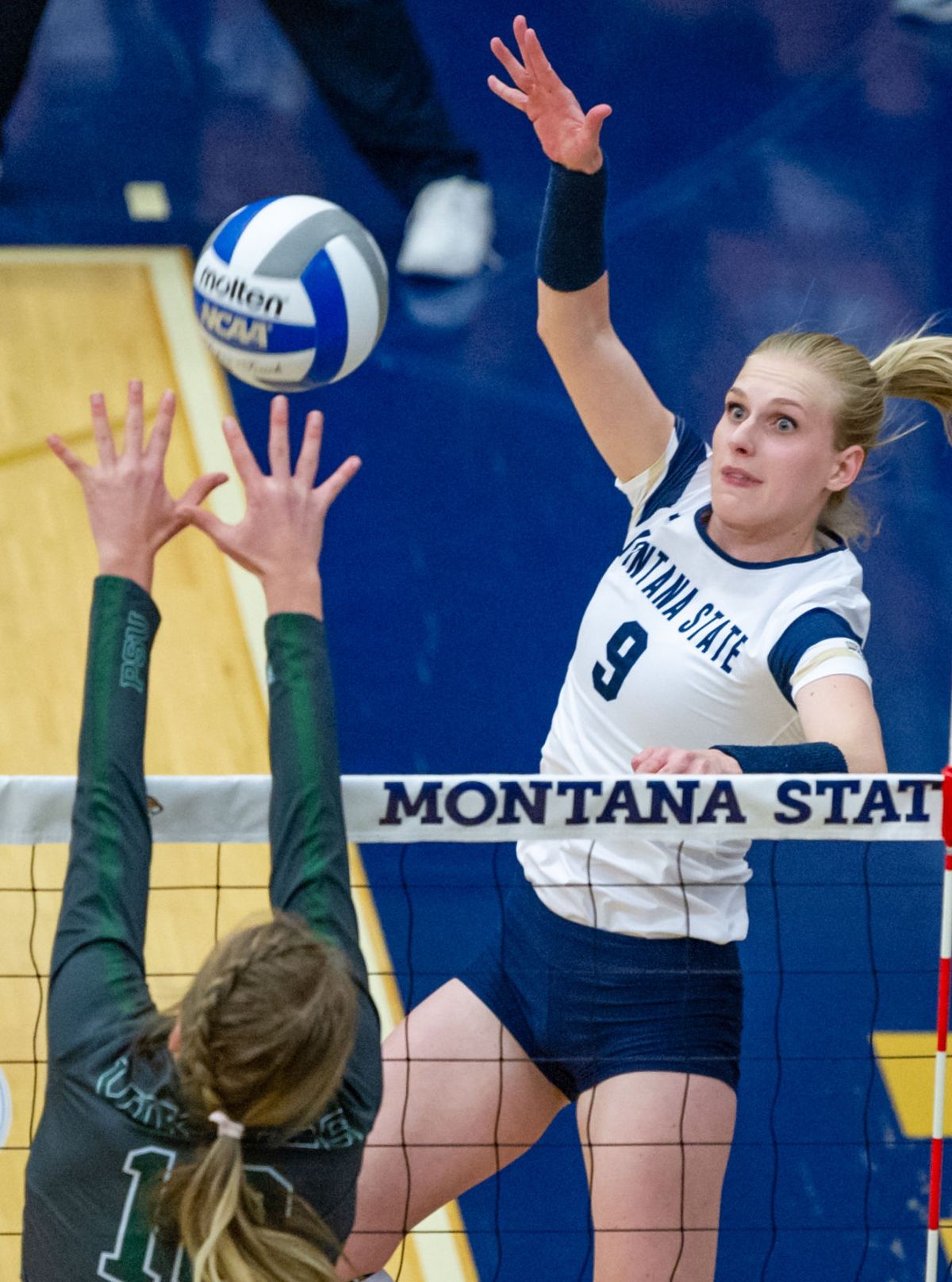 Bobcat Volleyball opens up conference play