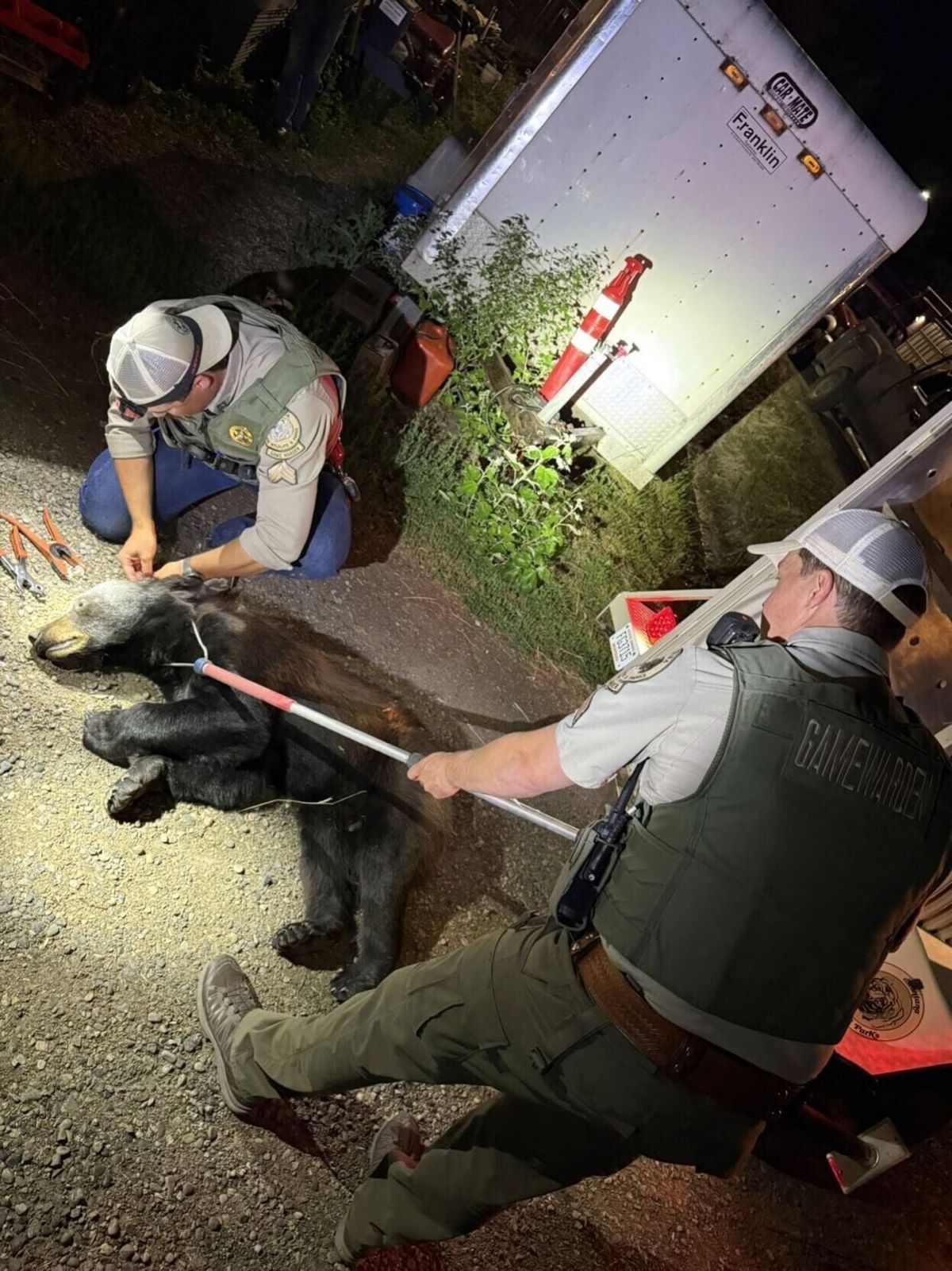 Bye bye black bear: Worden black bear safely relocated