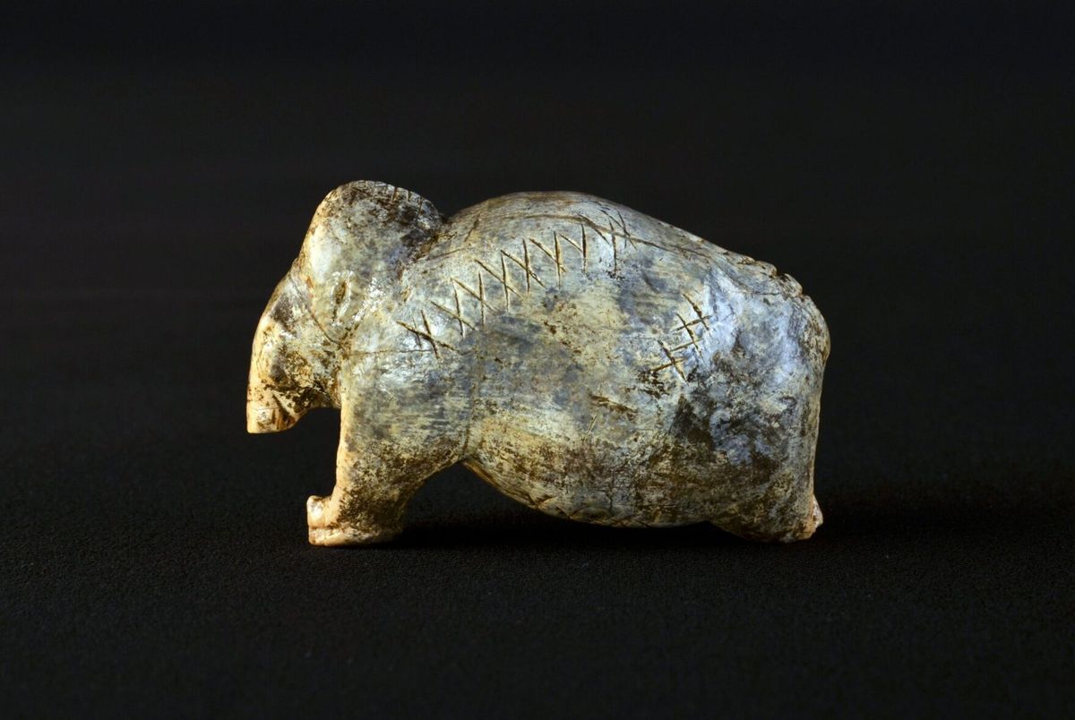Carvings made 40,000 years ago were ‘precursor’ to written word