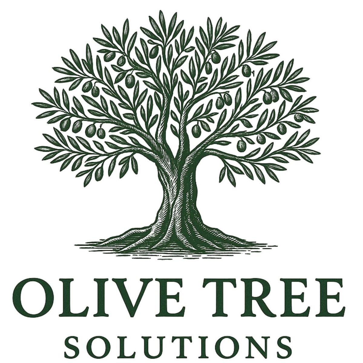 Olive Tree Solutions Launches New Service To Help Recover Surplus Funds