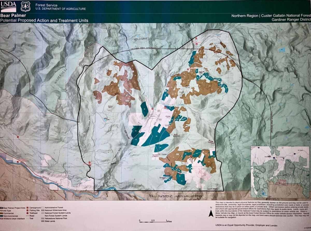 Gardiner conservation group worried about proposed logging near Yellowstone