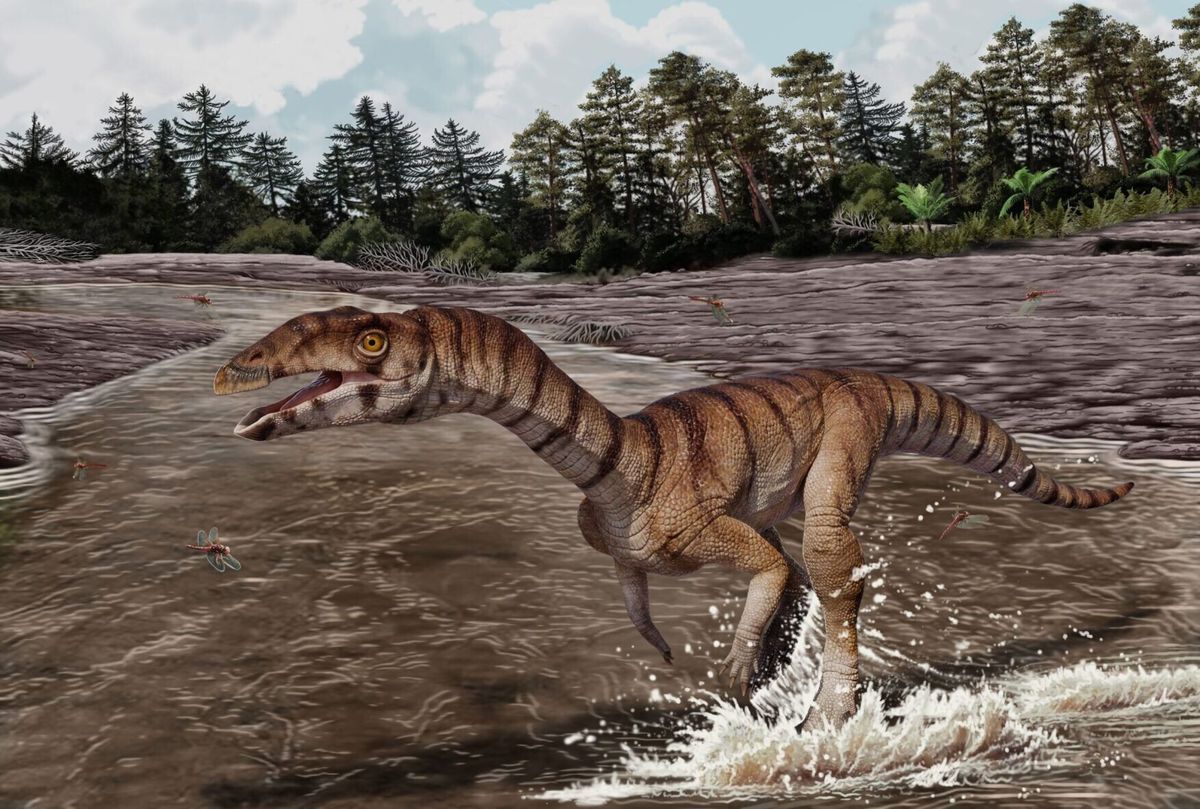Scientists discover toothless croc ancestor that walked like ostrich
