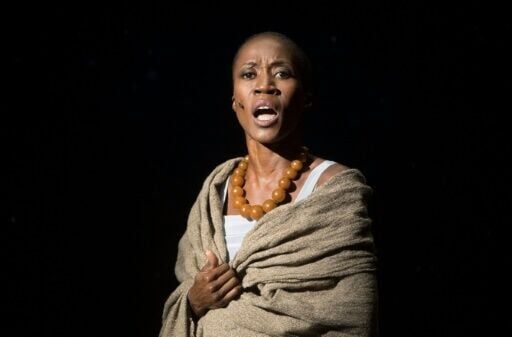 Malian singer Rokia Traore gets suspended jail in Belgian custody case