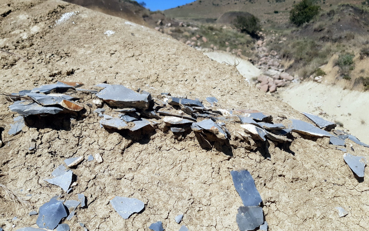 Study finds early humans quarried stone 200,000 years ago