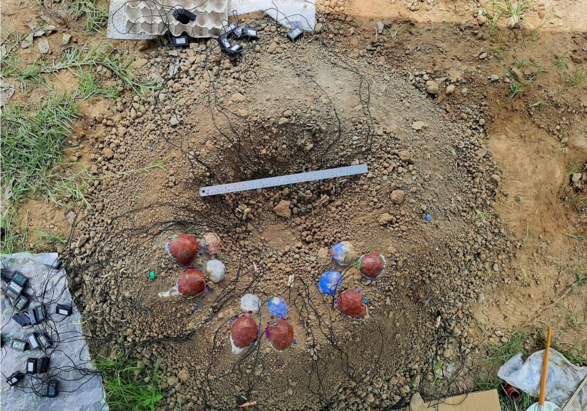 New research reveals dinosaurs used sun to help hatch eggs