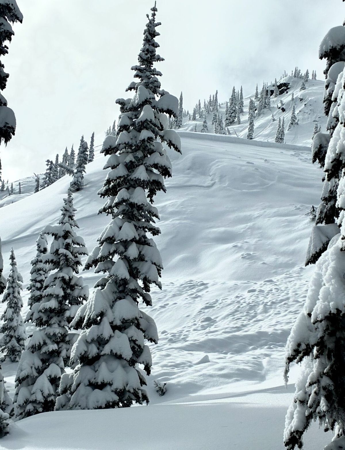 Avalanche warning issued for Flathead and Glacier National Park areas