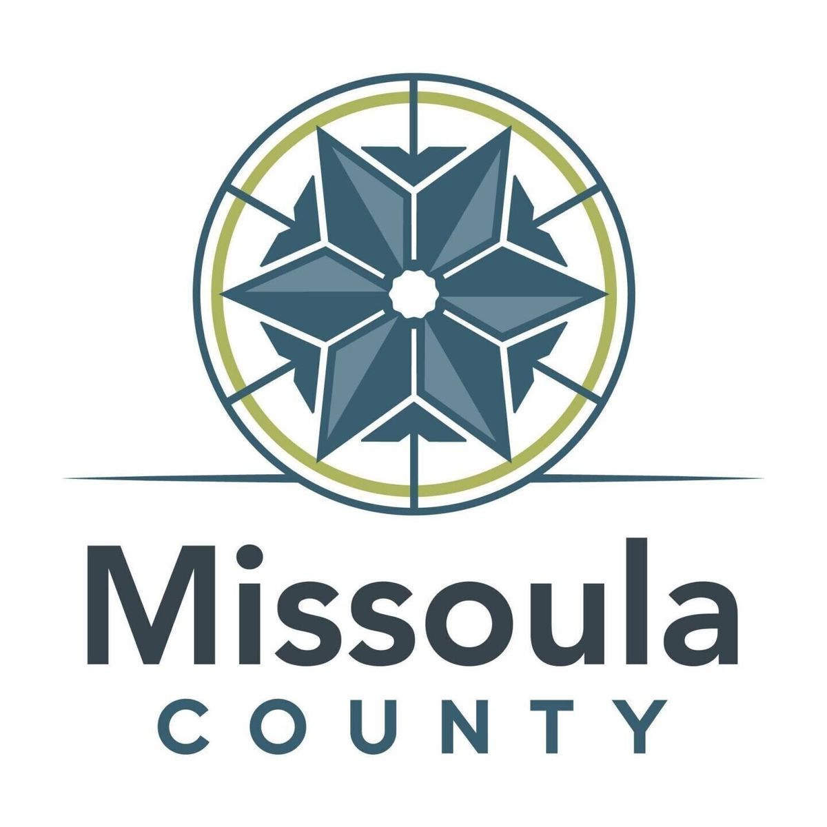 Missoula County moves to strike AI-assisted court filing
