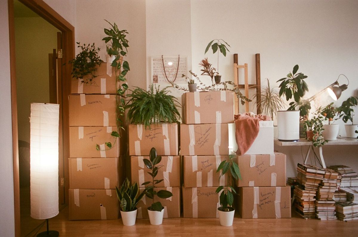 Many Americans store belongings at parents’ homes after moving out