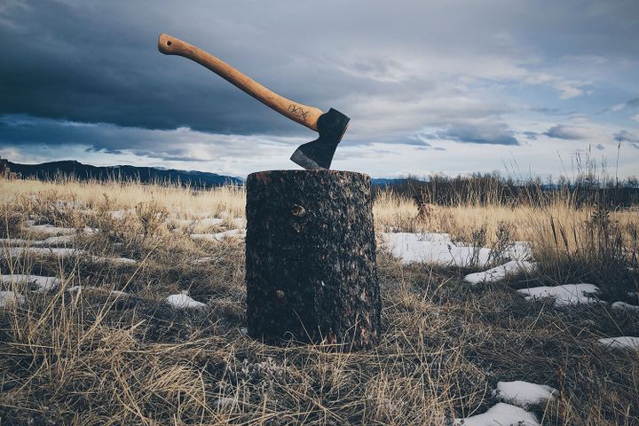 MSU lumberjack team chops the competition