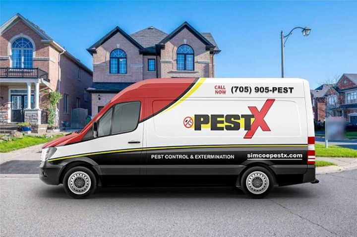 Simcoe Pest X Expands 24/7 Emergency Pest Control Services in Barrie
