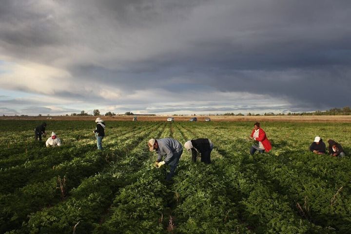 From the San Luis Valley to Vail, Latino labor powers every sector of Colorado’s economy