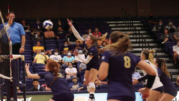 Bobcat volleyball topples Montana falls to Bears