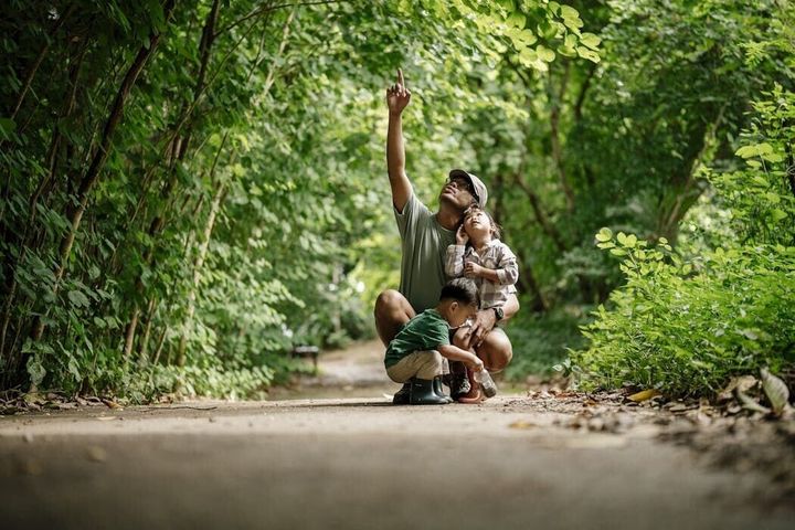 Warmer temps bring soaring tick populations – here’s how to stay safe from Lyme disease
