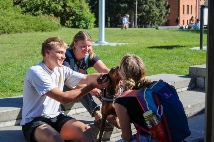 Dogs bring paws-itive vibes to campus