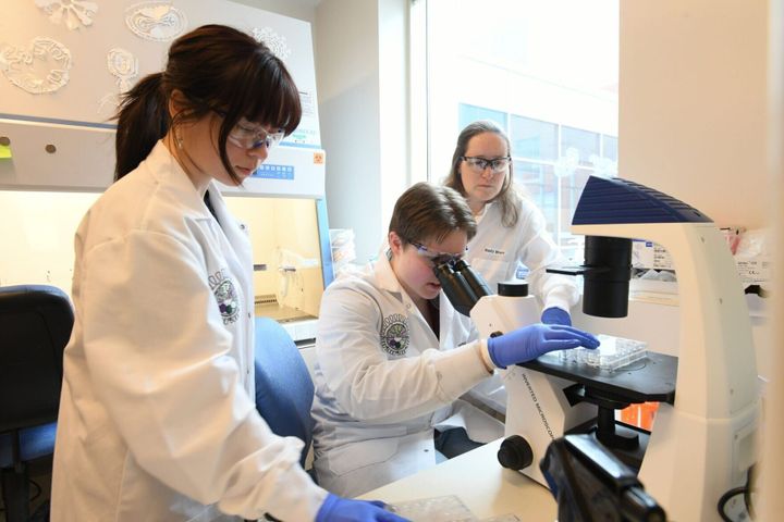 ‘Accidental’ breakthrough helps develop new ways to prevent flu
