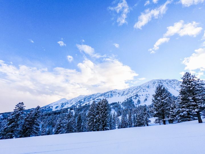 Bridger Bowl dealing with low snowpack and growth