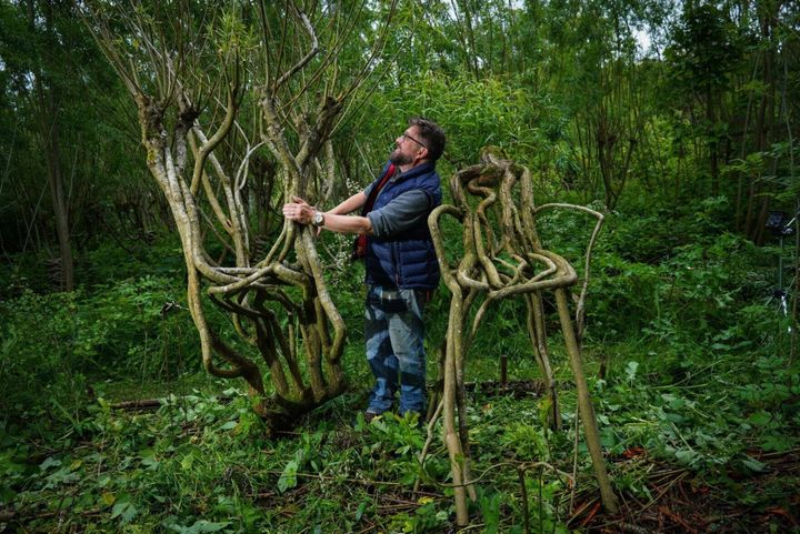 ‘Furniture orchard’ grows trees into chairs
