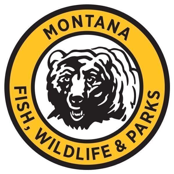 Anglers are reminded to keep small walleye caught at Canyon Ferry