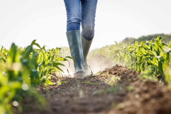 Montana Farms Lose $31.9M per Year to Natural Disasters